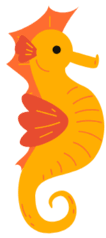 seahorse